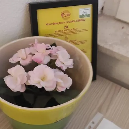 Apartamento Simply Nikole Bozidarevica 2 A B C D Dubrovnik